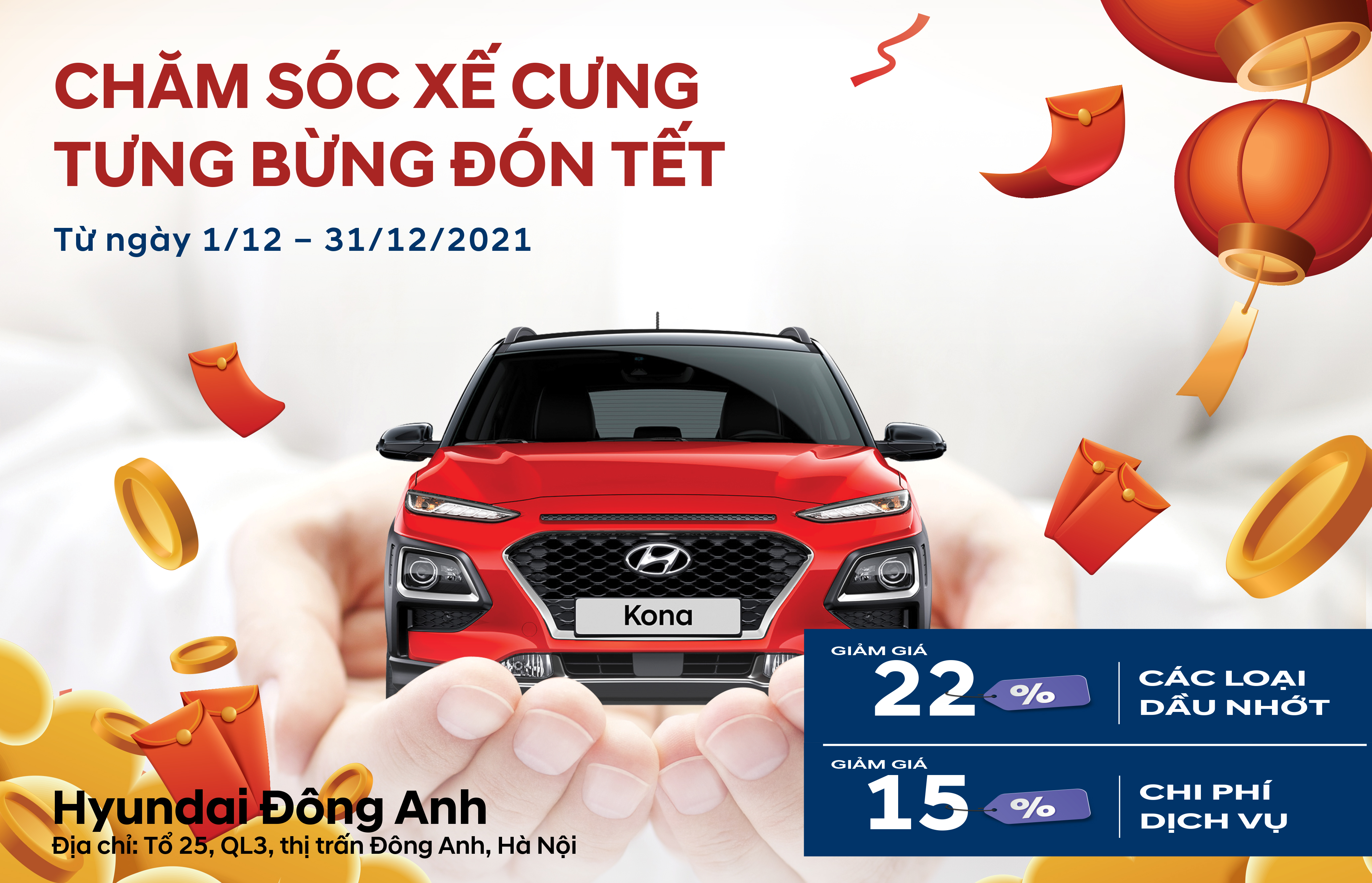 CHĂM SÓC XẾ CƯNG - TƯNG BỪNG ĐÓN TẾT